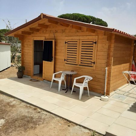 فندق Quinta Do Pinheiro Grândola المظهر الخارجي الصورة