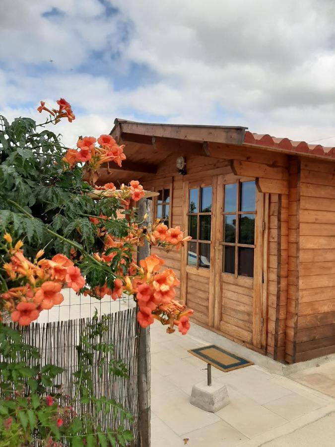 فندق Quinta Do Pinheiro Grândola المظهر الخارجي الصورة